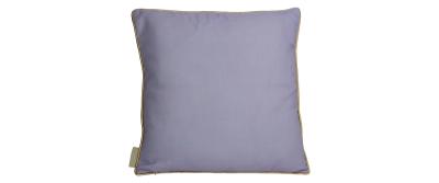 Graphic Lilac